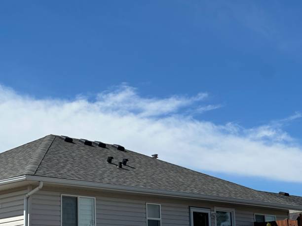 Best Solar Panel Roofing Installation  in North Miami, FL